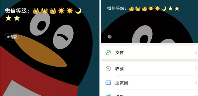 微信显示等级图标状态的方法 专属等级设置